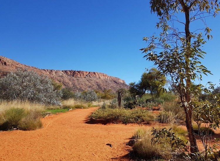 Alice Springs Desert Park , Australia